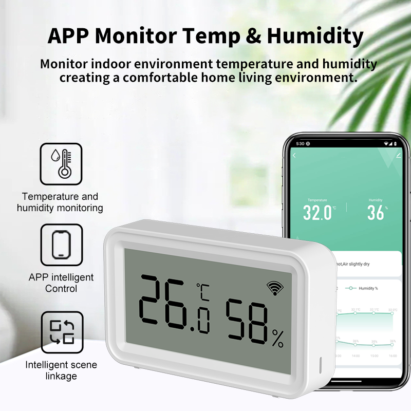 Tuya Zigbee WiFi Thermometer H - Smart Home App 리뷰 및 가격