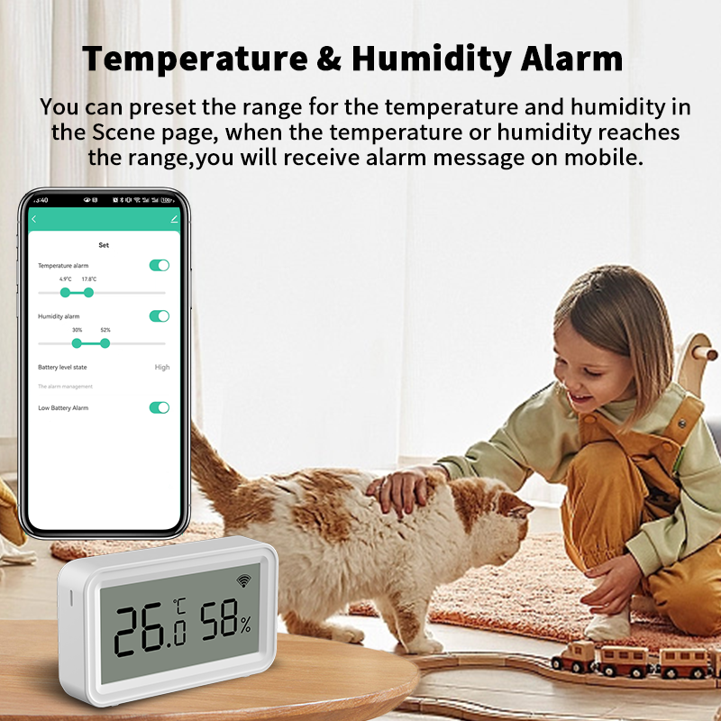 Tuya Zigbee WiFi Thermometer H - Smart Home App 리뷰 및 가격
