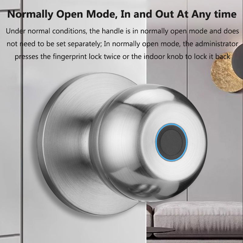 Tuya Door Lock Smart Fingerpri - Smart Home Lock 리뷰 및 가격