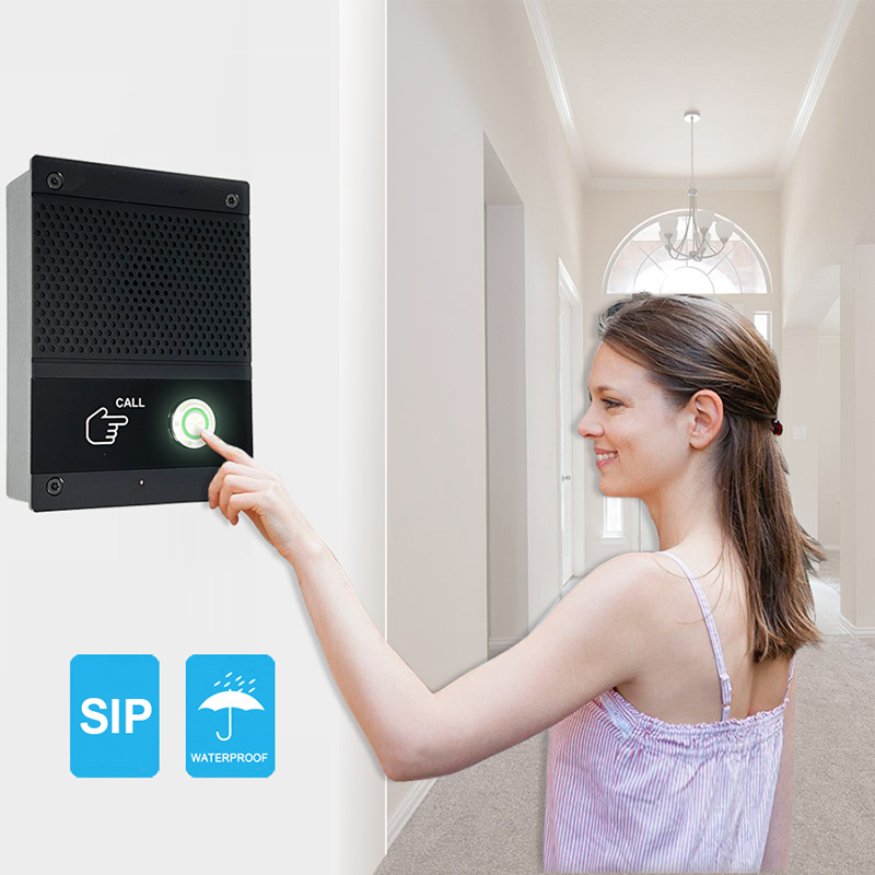 SIP Intercom Voice Control Doo - Smart Home Diy 리뷰 및 가격