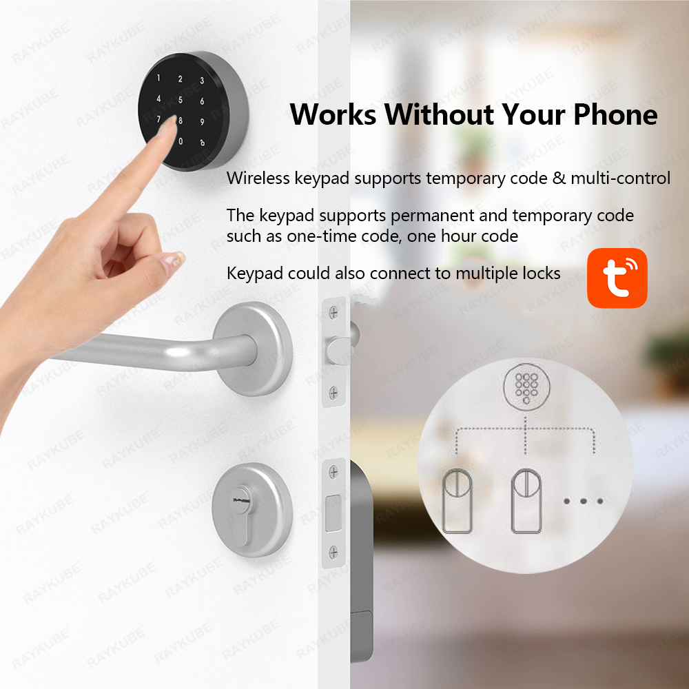 RAYKUBE A1 Pro Tuya BEL Smart  - Smart Home Lock 리뷰 및 가격