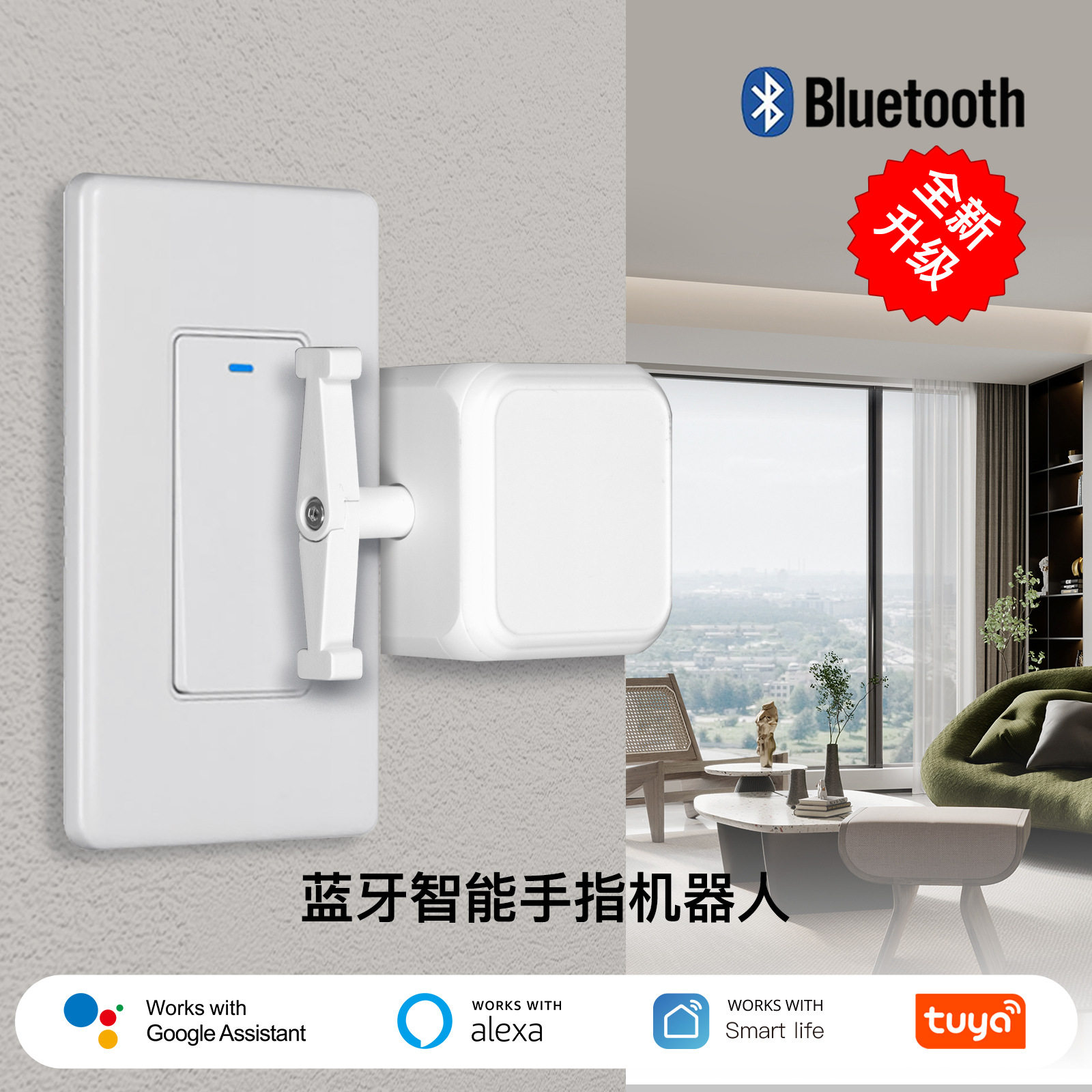 Tuya Smart Home Bluetooth Rock - Smart Home Robot 리뷰 및 가격