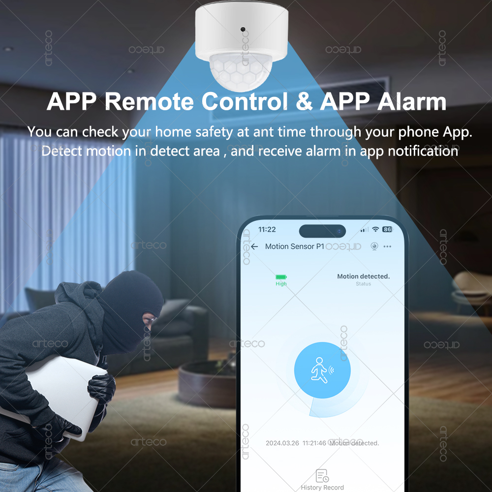Ewelink Zigbee PIR Motion Sens - Smart Home Yale 리뷰 및 가격