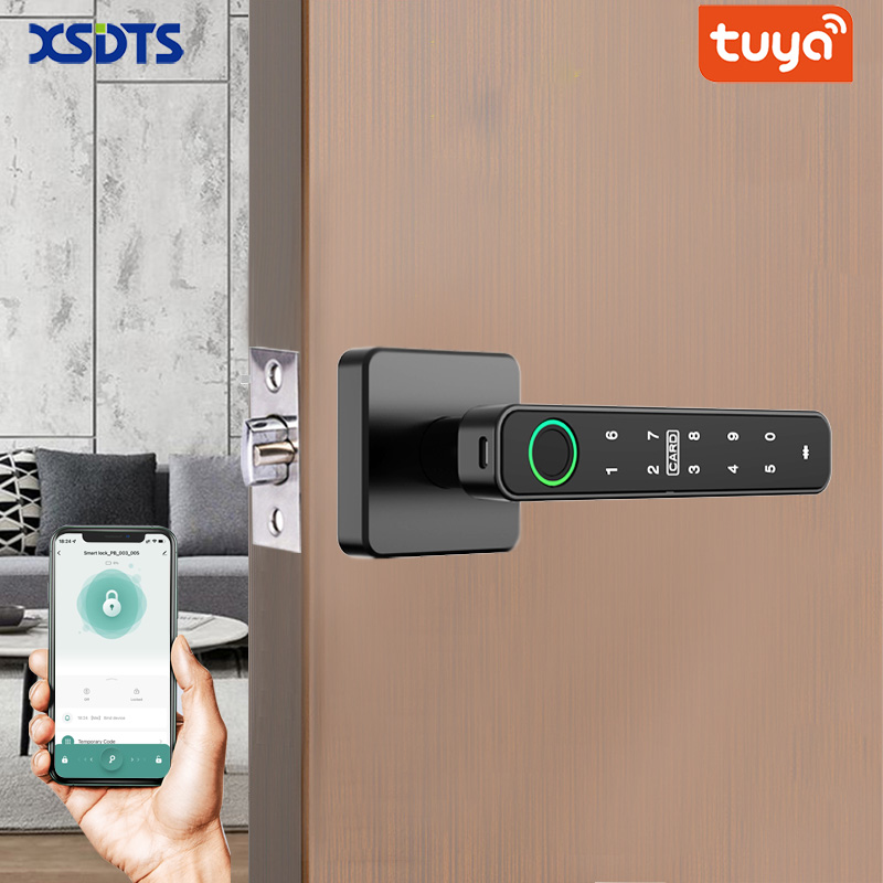 XSDTS Tuya Handle Fingerprint  - Smart Home Design 리뷰 및 가격