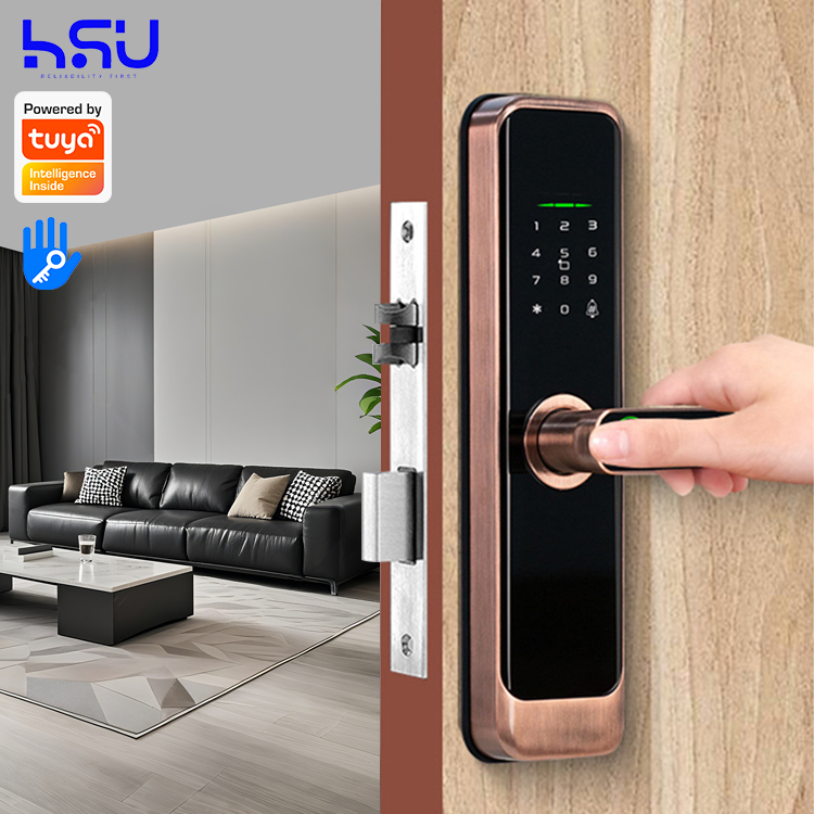 Digital Smart Doorlock Passcod - Smart Home Lock 리뷰 및 가격