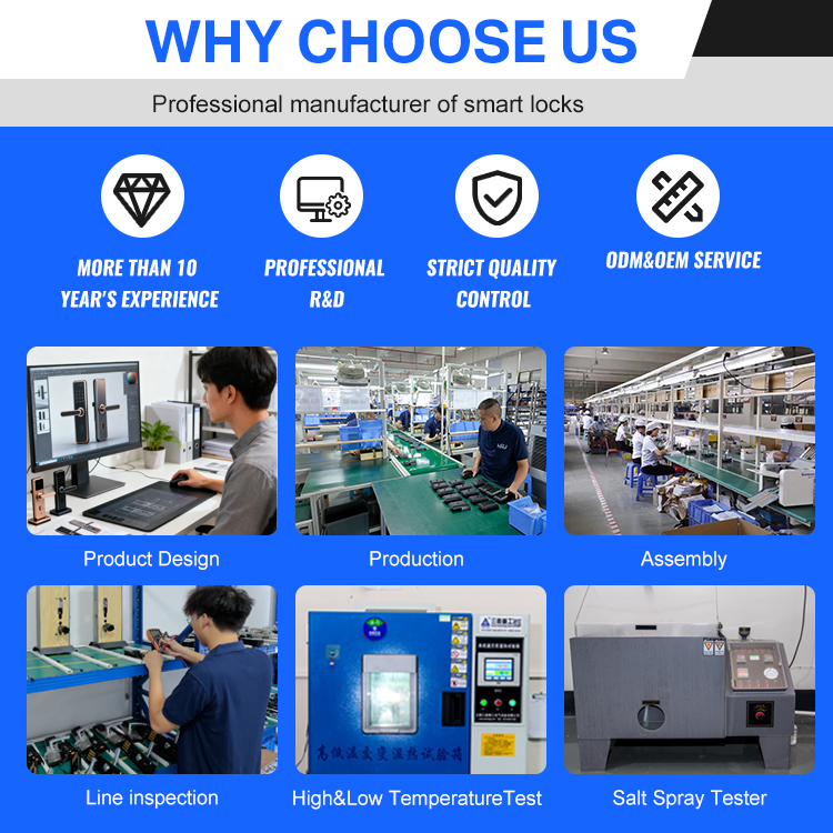 Digital Smart Doorlock Passcod - Smart Home Lock 리뷰 및 가격
