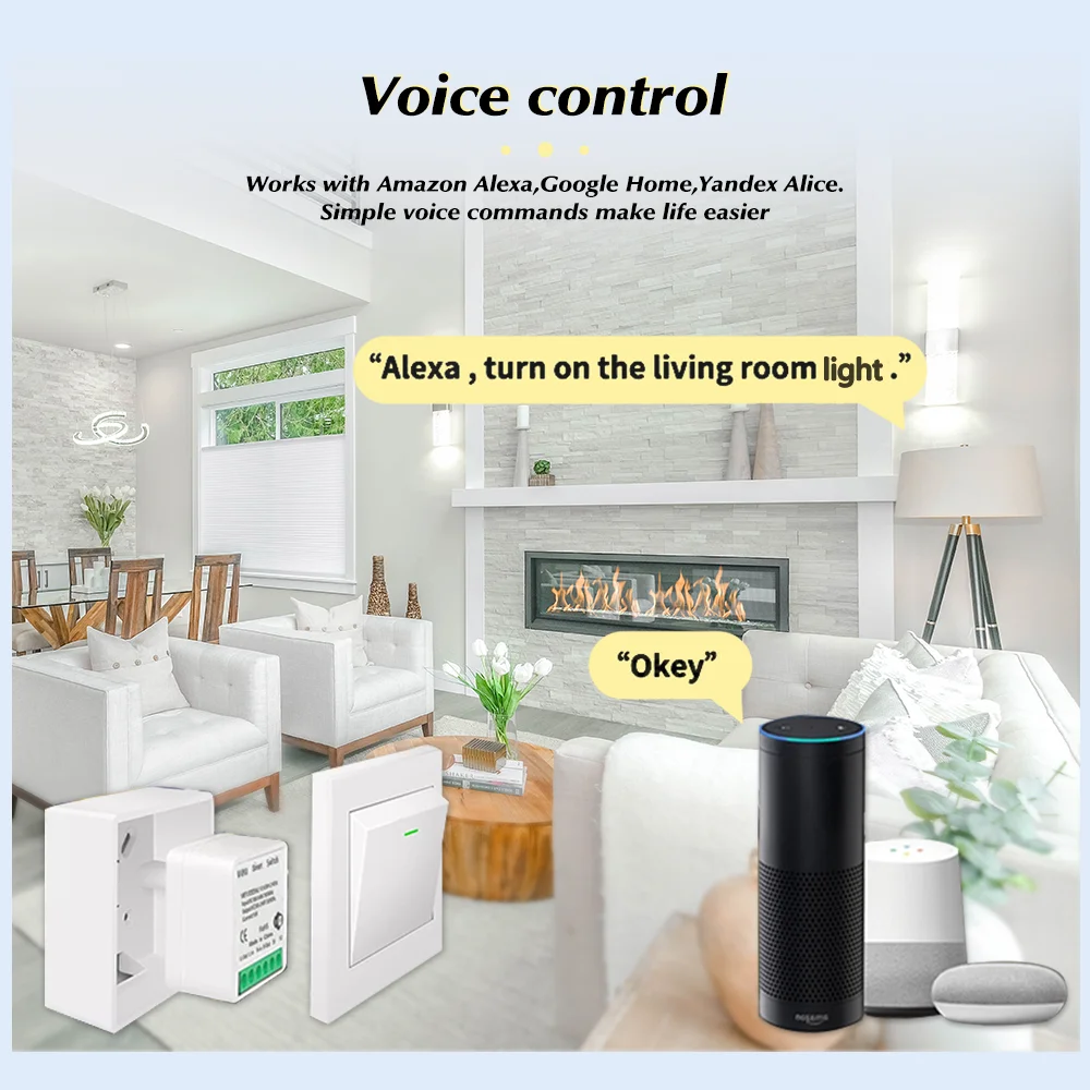 For Tuya Mini Smart WiFi Switc - Smart Home Diy 리뷰 및 가격