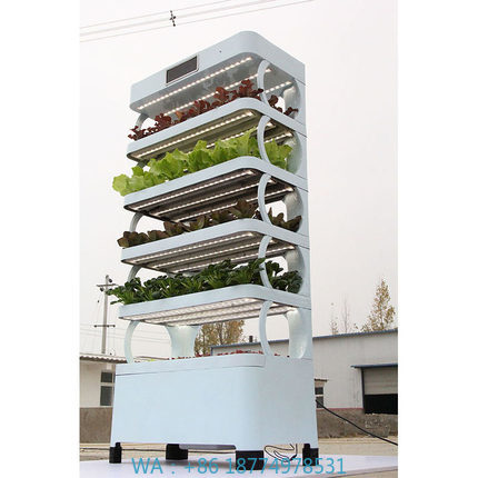 arming Home Hydroponic Growing - Smart Home Diy 리뷰 및 가격