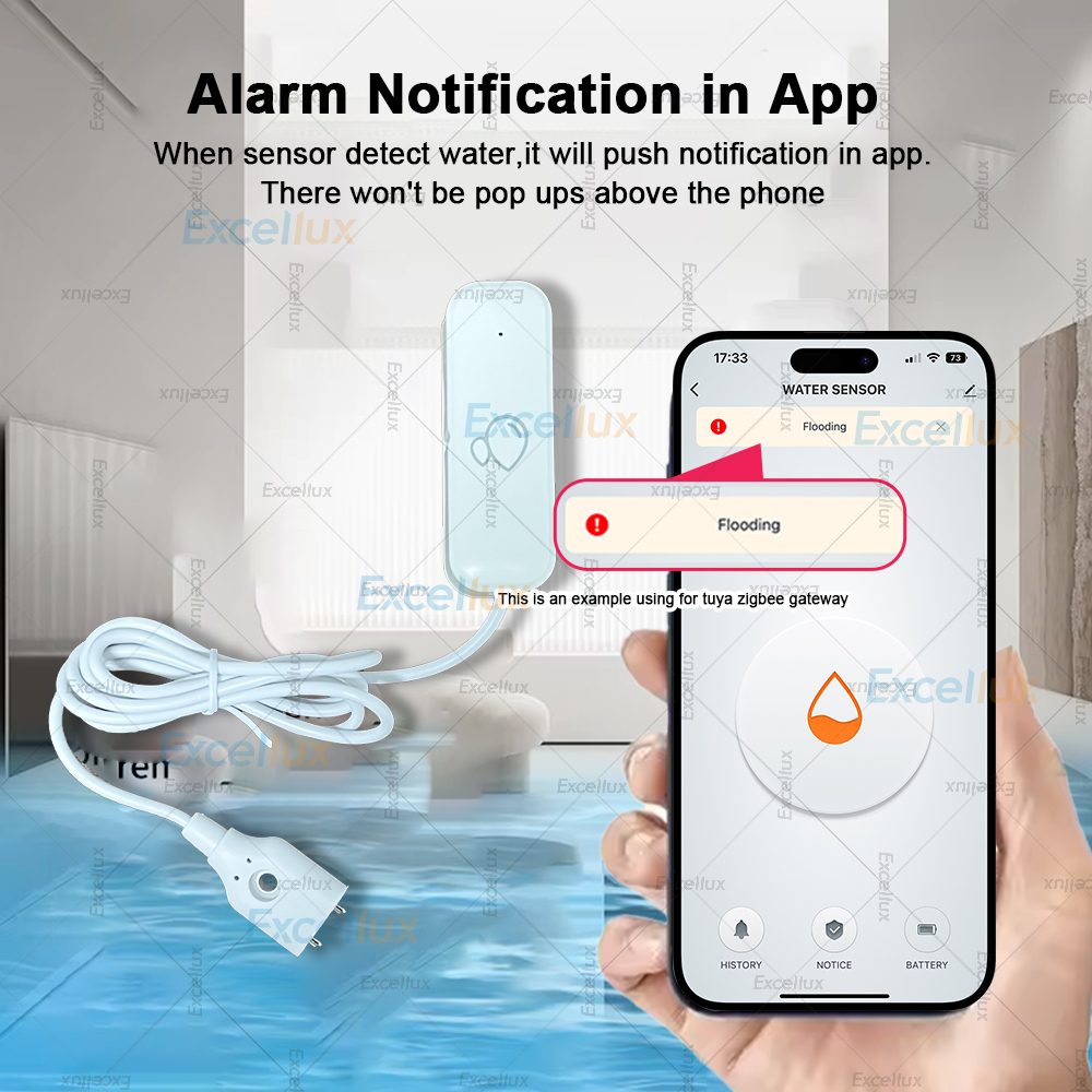 Zigbee Smart Water Leak Sensor - Zigbee Gateway 리뷰 및 가격