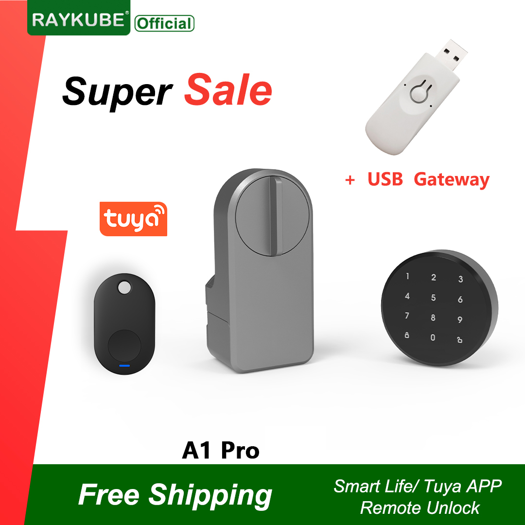 RAYKUBE A1 Pro Tuya BEL Smart  - Smart Home Lock 리뷰 및 가격