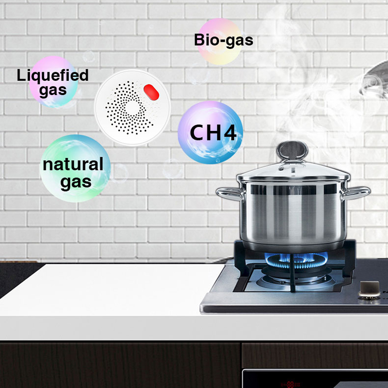 Tuya Smart Home Wifi Natural G - Smart Home Network 리뷰 및 가격