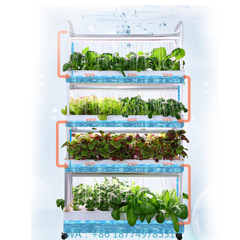 ydroponic Planting System Smar - Smart Home Diy 리뷰 및 가격