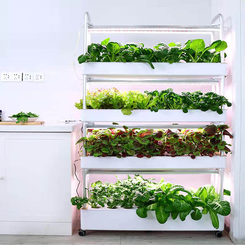ydroponic Planting System Smar - Smart Home Diy 리뷰 및 가격