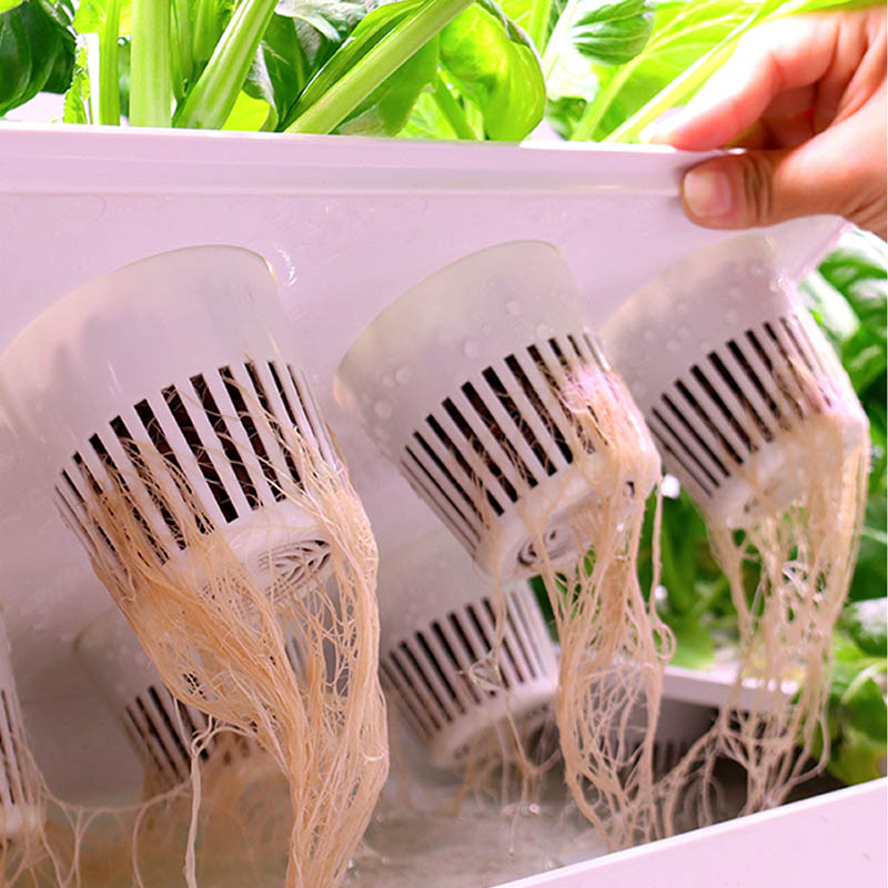 ydroponic Planting System Smar - Smart Home Diy 리뷰 및 가격