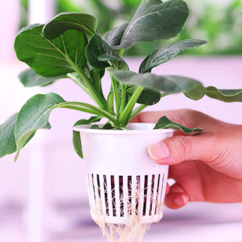 ydroponic Planting System Smar - Smart Home Diy 리뷰 및 가격