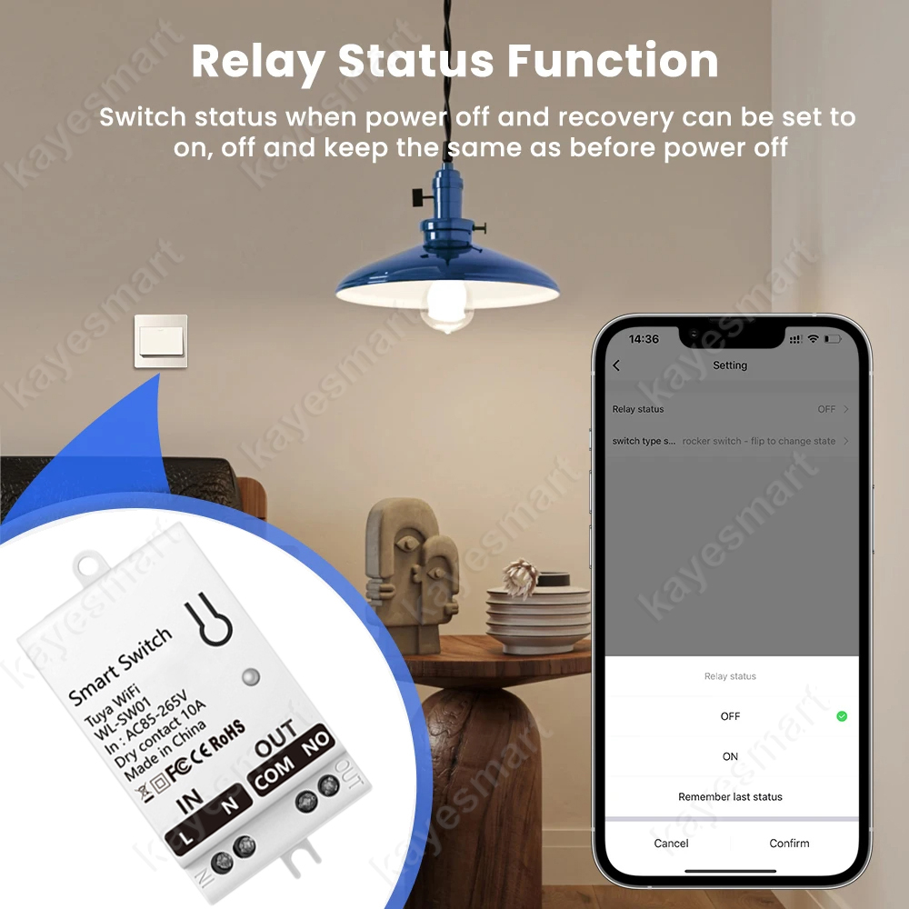 Tuya WiFi Smart Switch Module  - Smart Home Diy 리뷰 및 가격