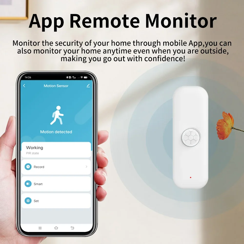 Tuya WiFI Zigbee PIR Motion Se - Smart Home Diy 리뷰 및 가격