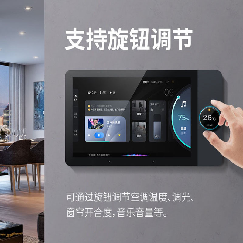 Doodle Smart Central Control S - Zigbee Gateway 리뷰 및 가격
