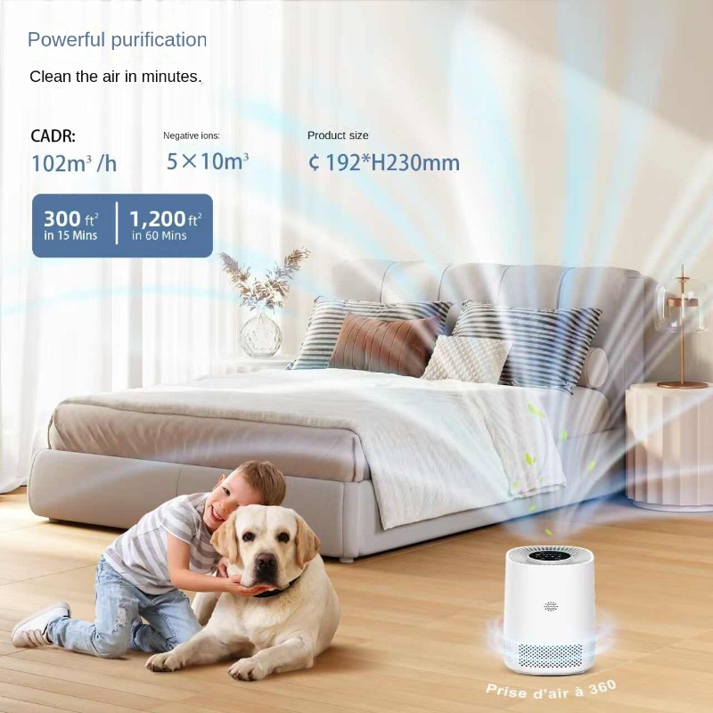 Smart Home Air Purifier with A - Smart Home App 리뷰 및 가격