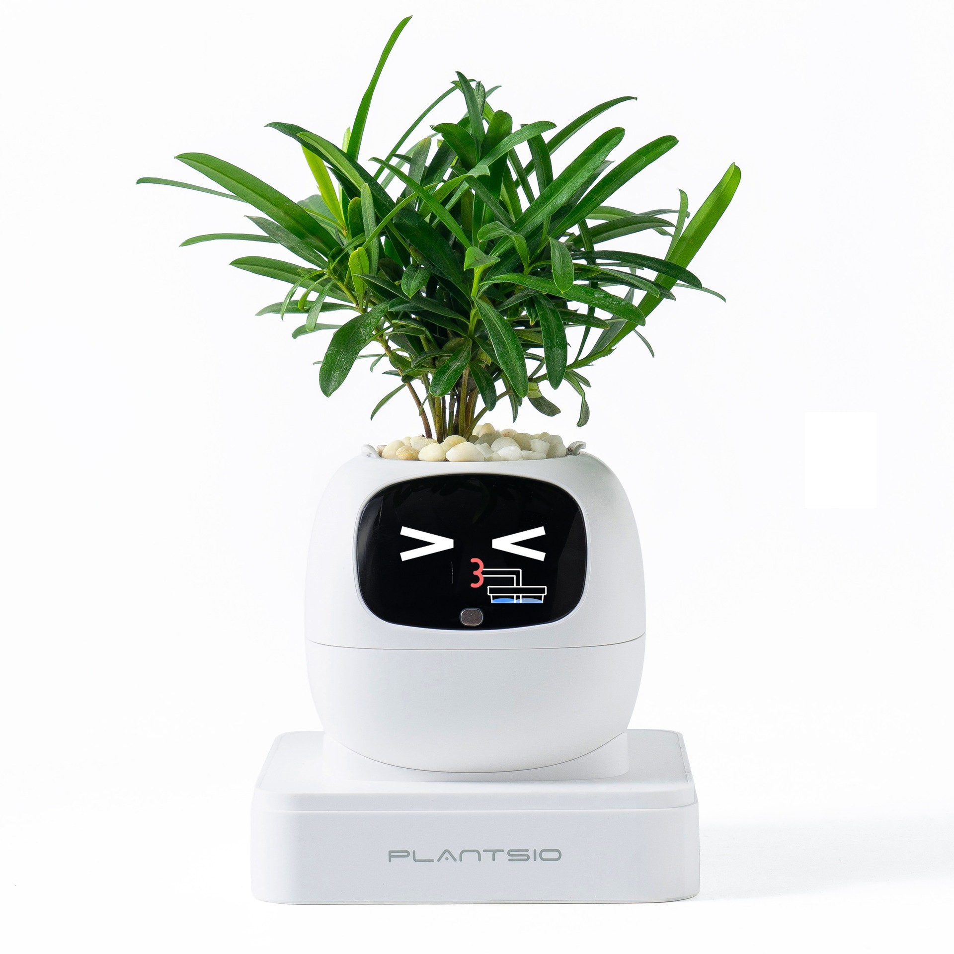 2026 NEW Second Generation Sma - Smart Home Robot 리뷰 및 가격