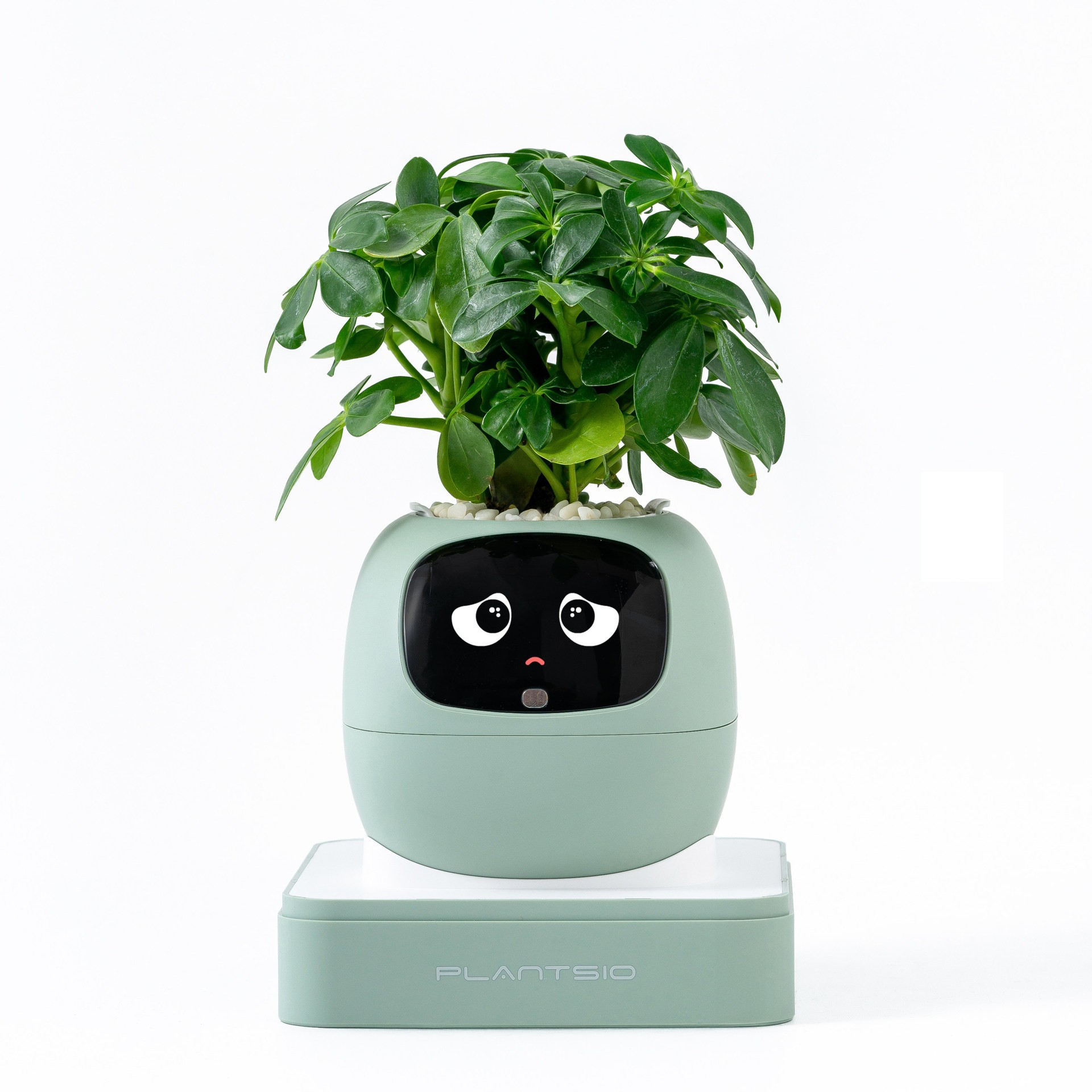 2026 NEW Second Generation Sma - Smart Home Robot 리뷰 및 가격
