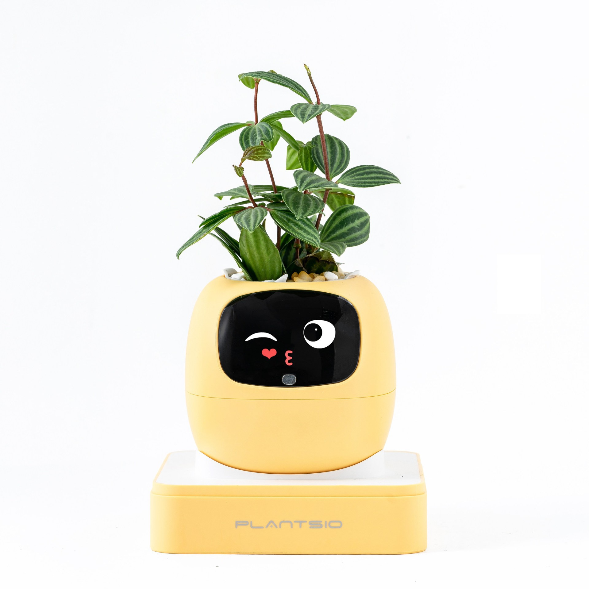 2026 NEW Second Generation Sma - Smart Home Robot 리뷰 및 가격