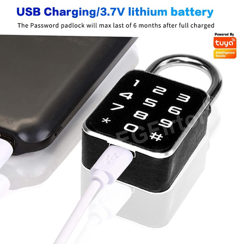 Tuya Bluetooth APP Password Co - Smart Home Lock 리뷰 및 가격