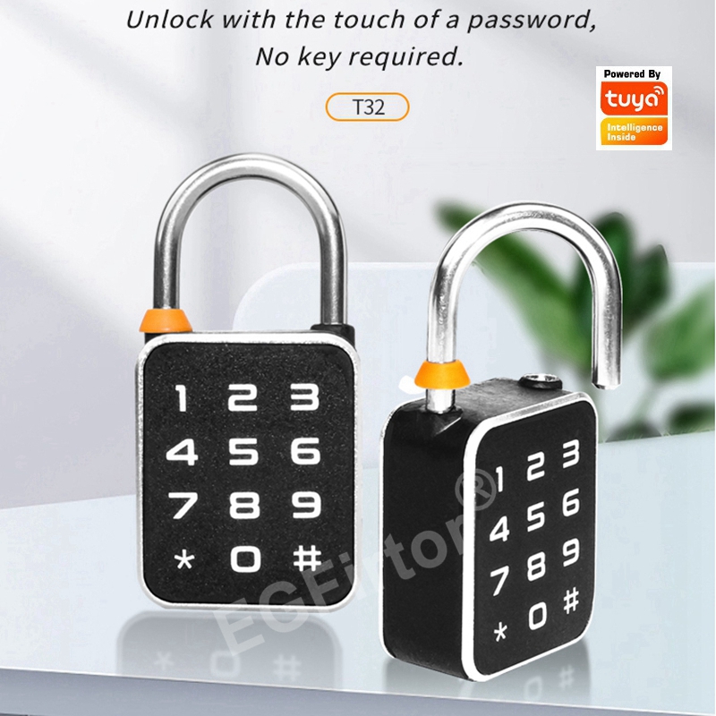 Tuya Bluetooth APP Password Co - Smart Home Lock 리뷰 및 가격