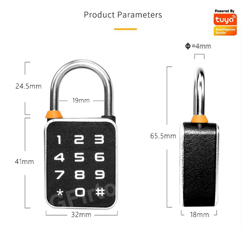 Tuya Bluetooth APP Password Co - Smart Home Lock 리뷰 및 가격