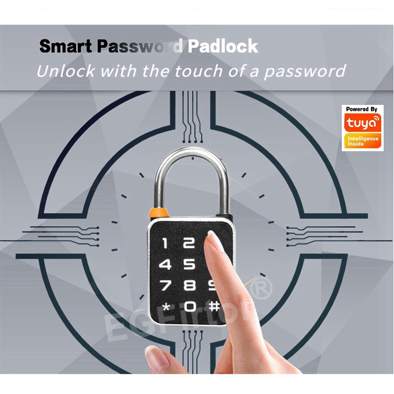 Tuya Bluetooth APP Password Co - Smart Home Lock 리뷰 및 가격
