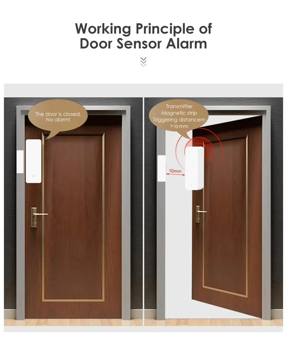 Tuya Zigbee/WiFi Magnetic Door - Zigbee Gateway 리뷰 및 가격
