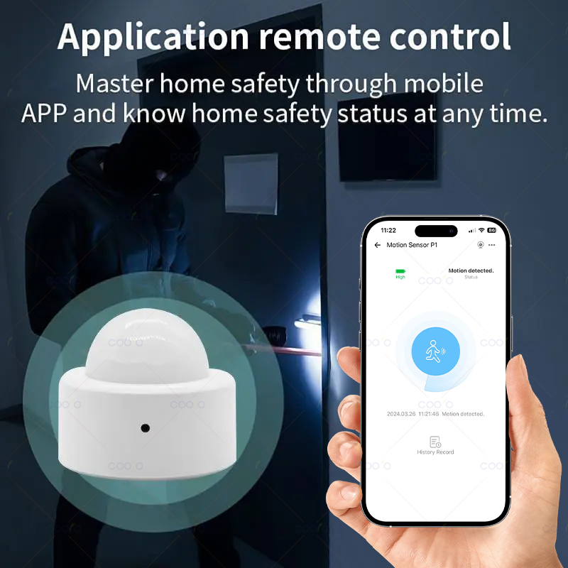 Zigbee Mini PIR Motion Sensor  - Zigbee Gateway 리뷰 및 가격