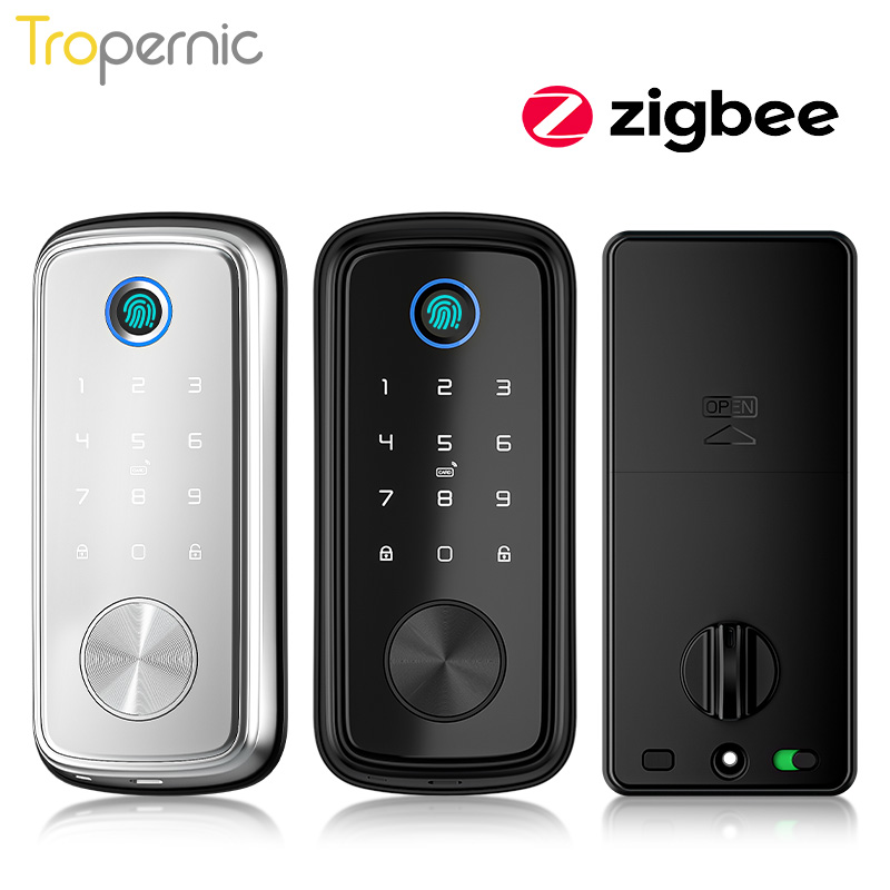 Tuya Zigbee Door Deadbolt Lock - Smart Home Lock 리뷰 및 가격