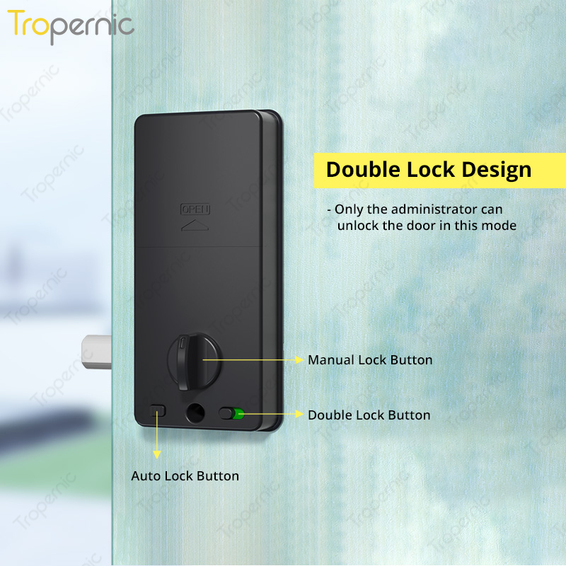 Tuya Zigbee Door Deadbolt Lock - Smart Home Lock 리뷰 및 가격
