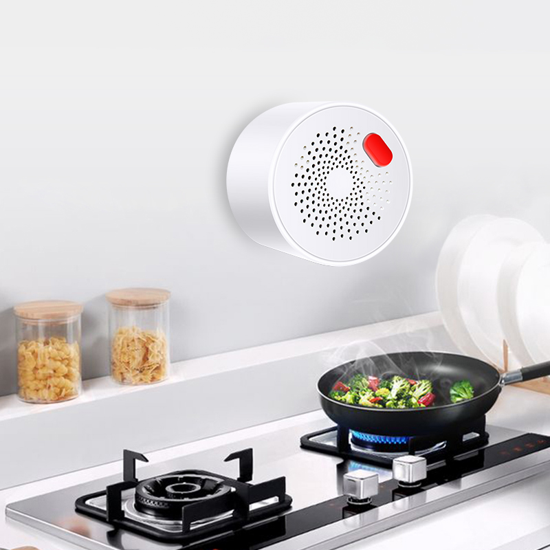 Tuya Smart Home Wifi Natural G - Smart Home Network 리뷰 및 가격