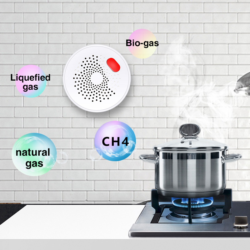 Tuya Smart Home Wifi Natural G - Smart Home Network 리뷰 및 가격