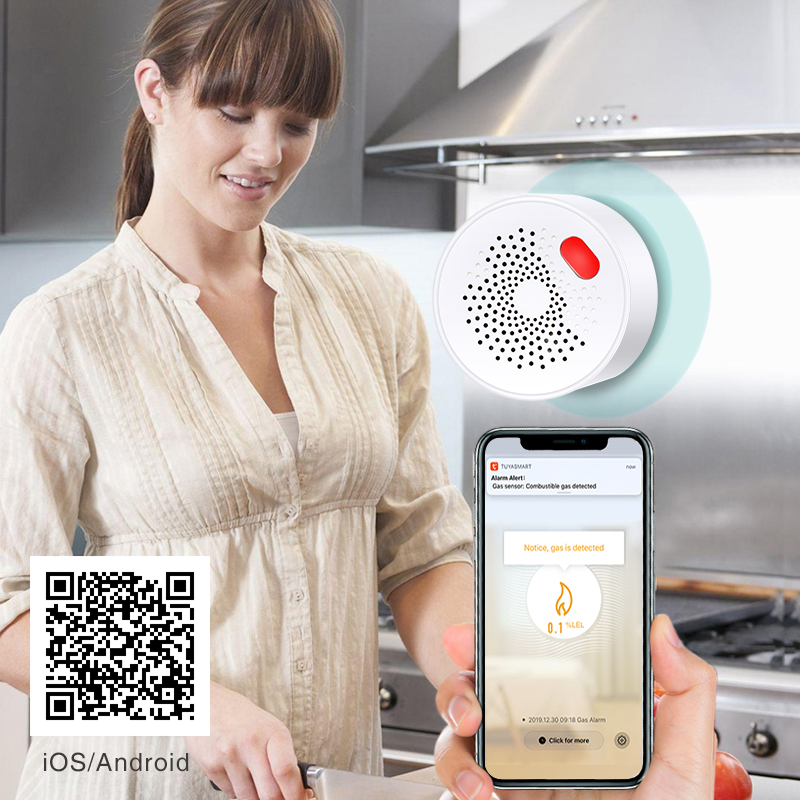 Tuya Smart Home Wifi Natural G - Smart Home Network 리뷰 및 가격
